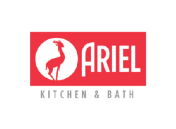 ariel dj consultora